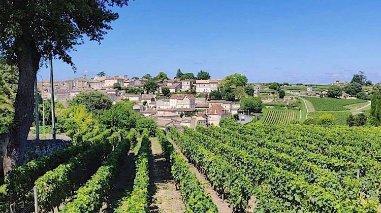VIGNOBLES – Vers une relance de l’IGP Atlantique ?